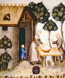 Preparation of butter, from Tacuinum Sanitatis